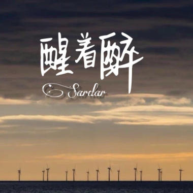 醒着醉吉他谱GTP格式