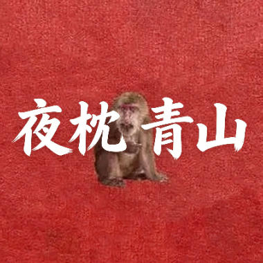 夜枕青山 吉他谱GTP格式