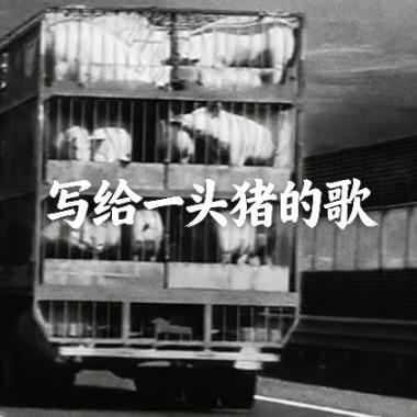 写给一头猪的歌吉他谱GTP格式