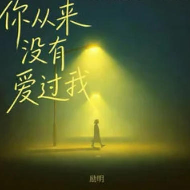 你从来没有爱过我吉他谱GTP格式