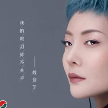 我的眼泪你不在乎吉他谱GTP格式