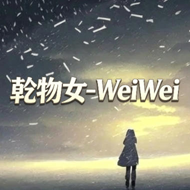 幹物女-WeiWei吉他谱GTP格式